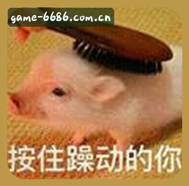 刘总